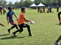 Tn dsc 0626